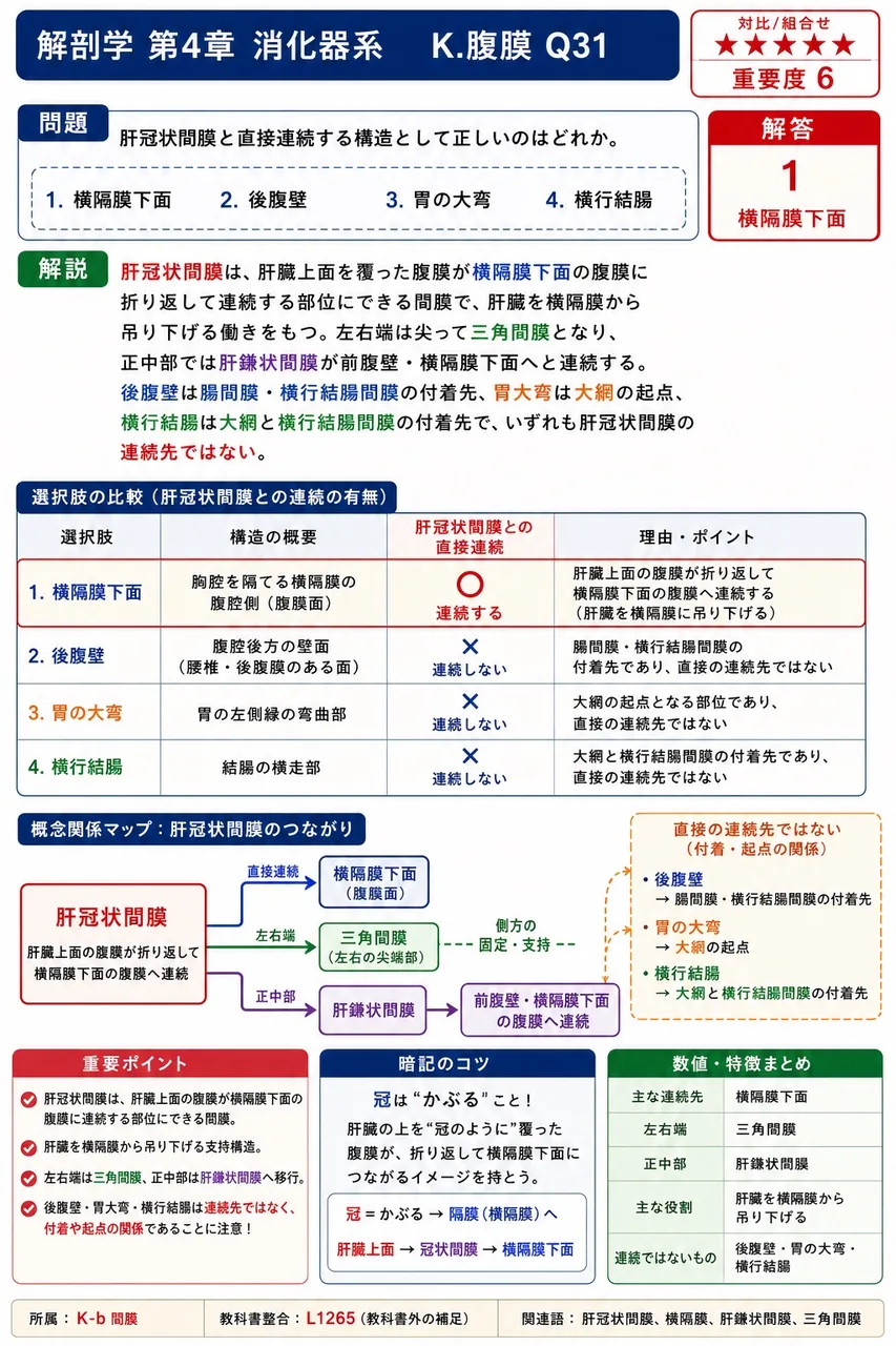 腹膜のうち、腹壁側の1枚と臓器表面側の1枚が部位ごとに連なって2枚重ねの腹膜ヒダを形成するとき、これを総称して( )という。 解説図