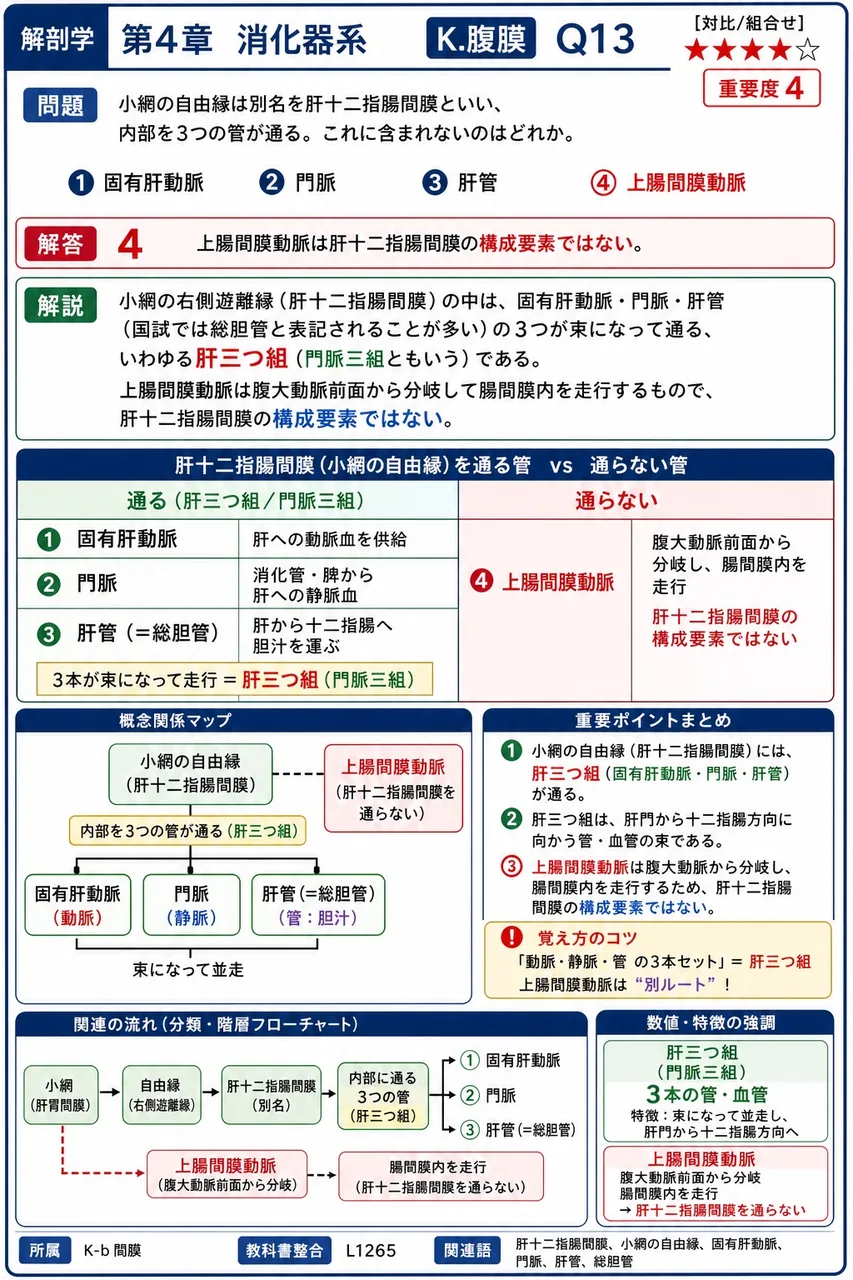 大網の構造として正しいのはどれか。 解説図