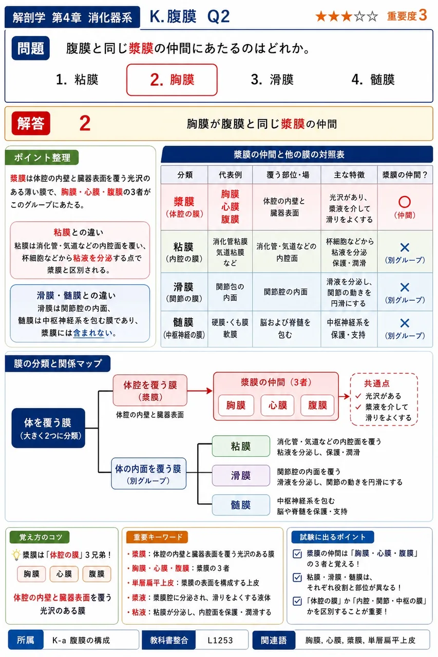 次のうち、教科書本文で腹膜内臓器のグループに分類されるのはどれか。 解説図