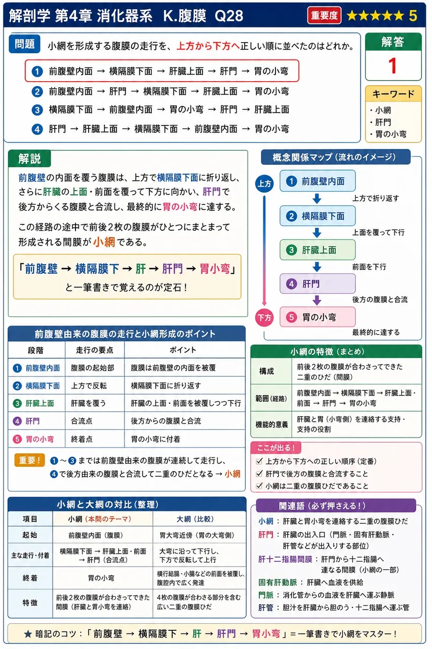 腸間膜の中を走行する代表的な脈管・神経の名称を3種挙げよ。 解説図