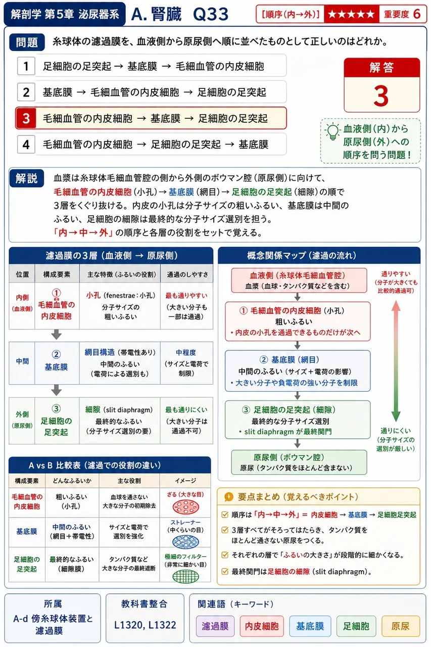 腎門を出入りする構造として誤っているのはどれか。 解説図