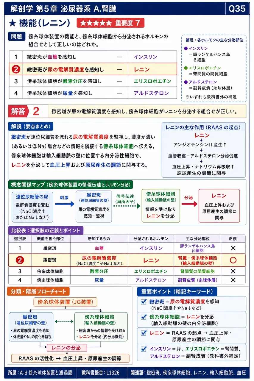 糸球体の濾過膜を構成する3要素として正しい組合せはどれか。 解説図