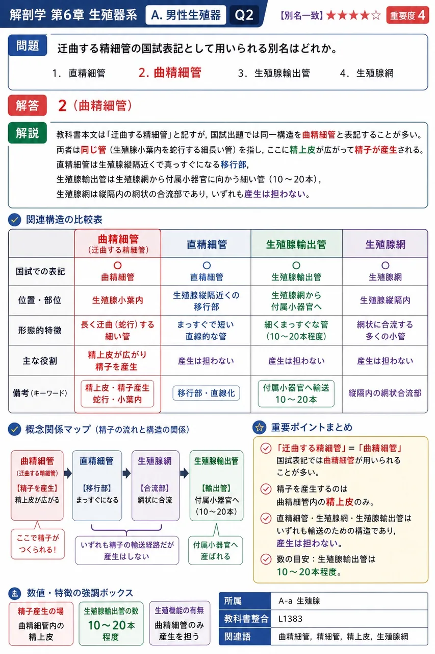 迂曲する精細管の国試表記として用いられる別名はどれか。 解説図