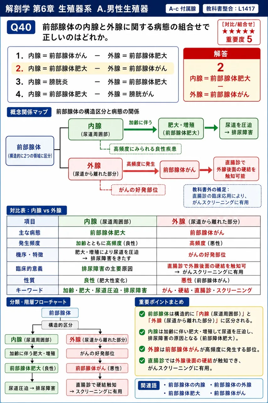 前立腺の内腺と外腺に関する病態の組合せで正しいのはどれか。 解説図