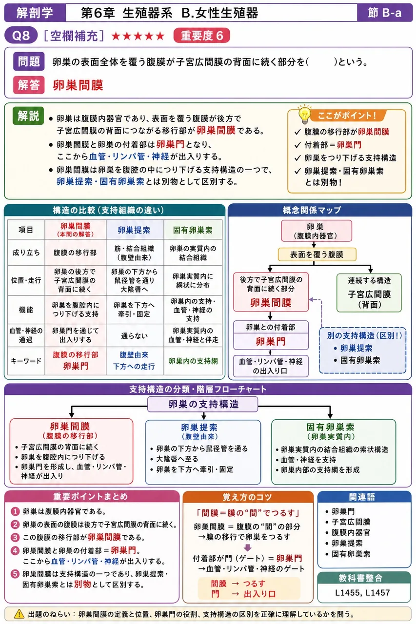 卵巣の表面全体を覆う腹膜が子宮広間膜の背面に続く部分を( )という。 解説図