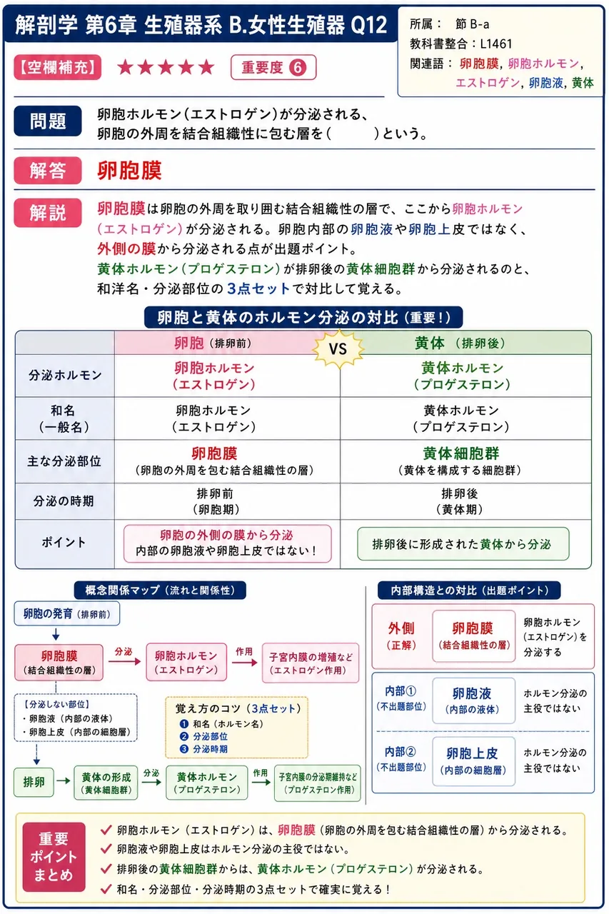 卵胞ホルモン(エストロゲン)が分泌される、卵胞の外周を結合組織性に包む層を( )という。 解説図