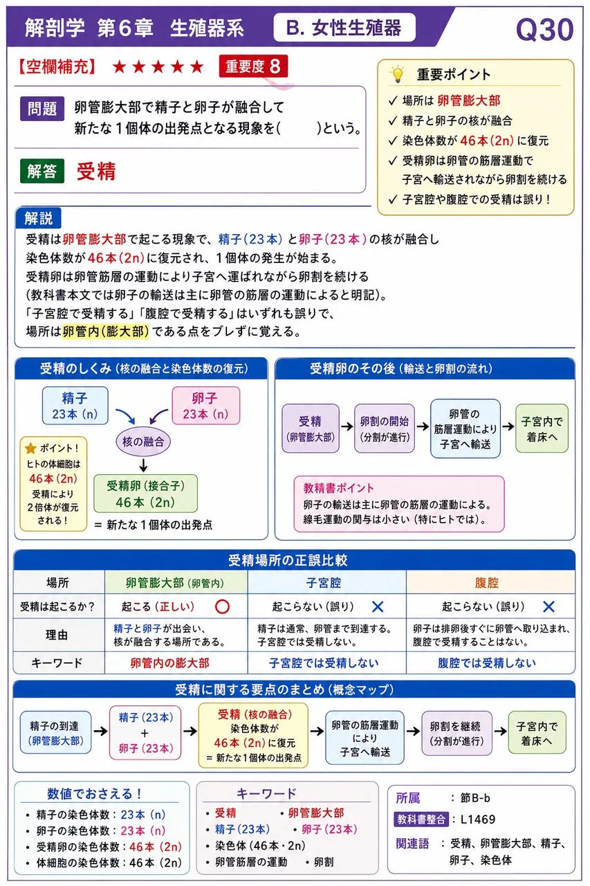 卵管膨大部で精子と卵子が融合して新たな1個体の出発点となる現象を( )という。 解説図