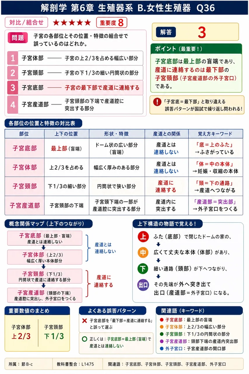子宮の各部位とその位置・特徴の組合せで誤っているのはどれか。 解説図
