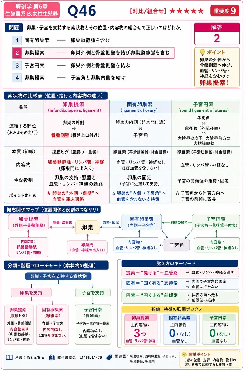 卵巣・子宮を支持する索状物とその位置・内容物の組合せで正しいのはどれか。 解説図