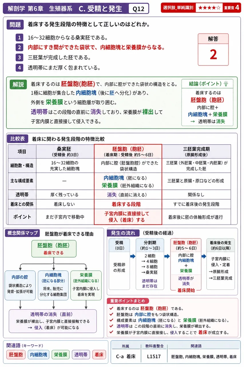 着床する発生段階の特徴として正しいのはどれか。 解説図
