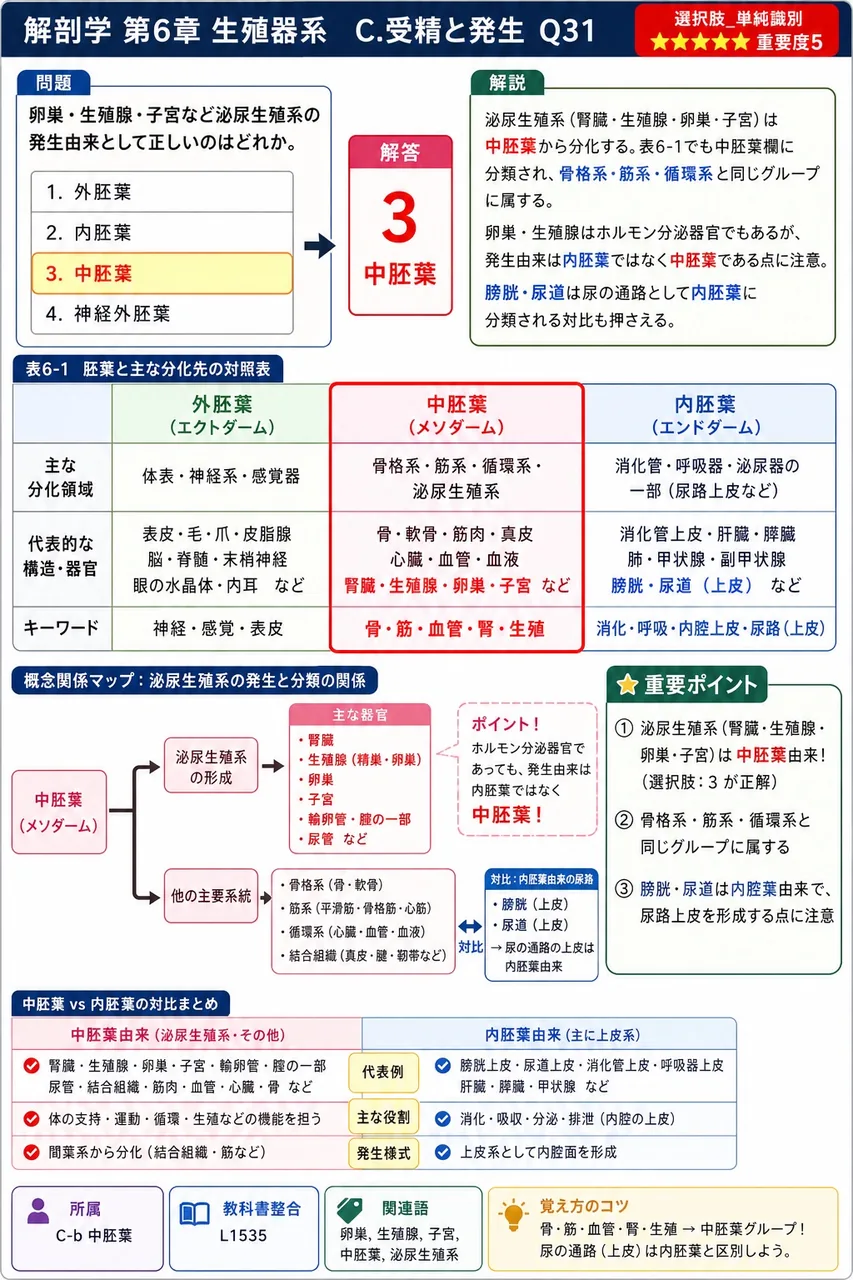 卵巣・精巣・子宮など泌尿生殖系の発生由来として正しいのはどれか。 解説図