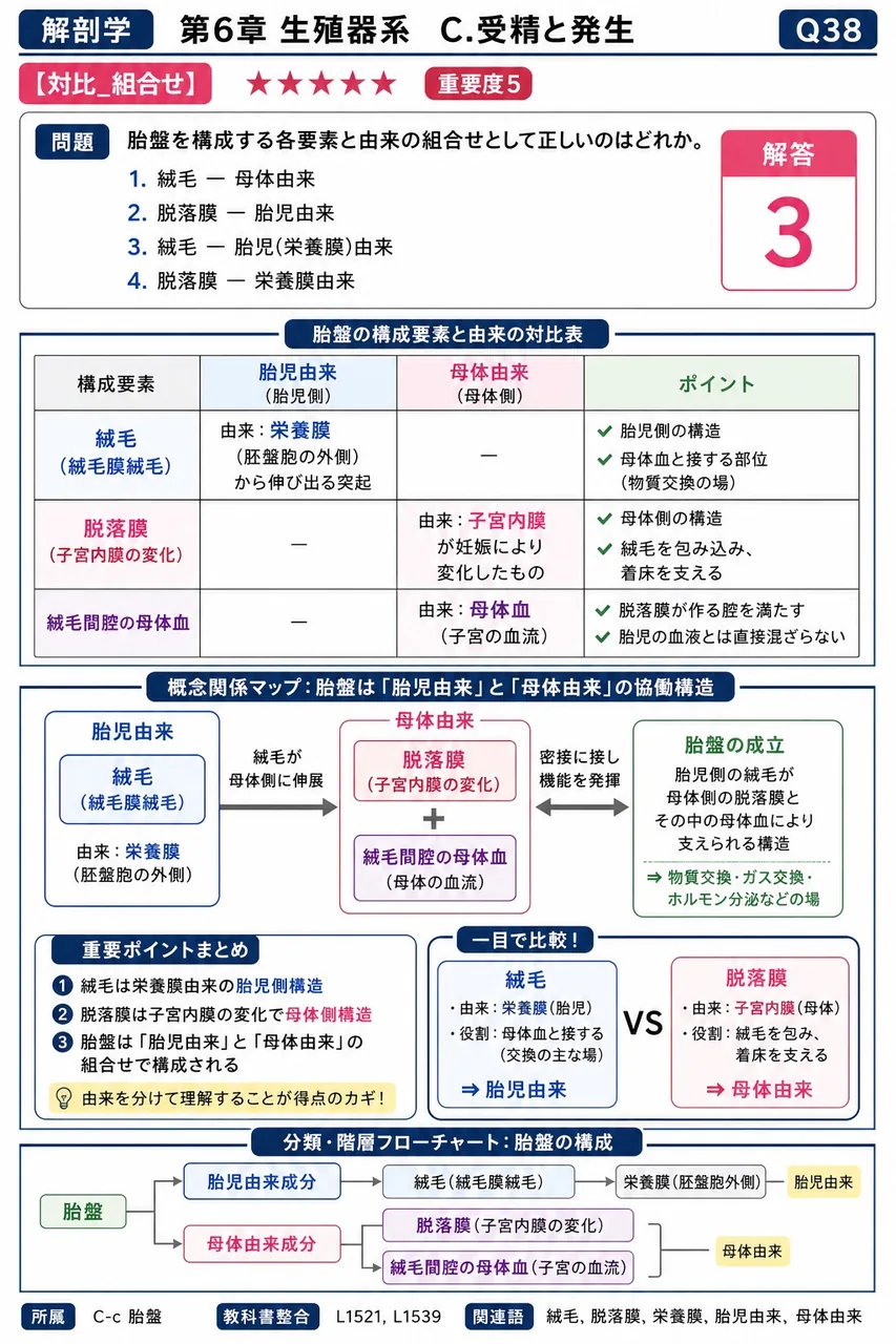 胎盤を構成する各要素と由来の組合せとして正しいのはどれか。 解説図