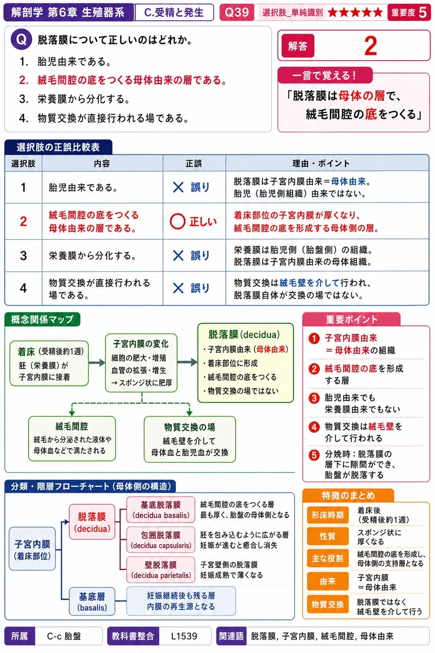 脱落膜について正しいのはどれか。 解説図