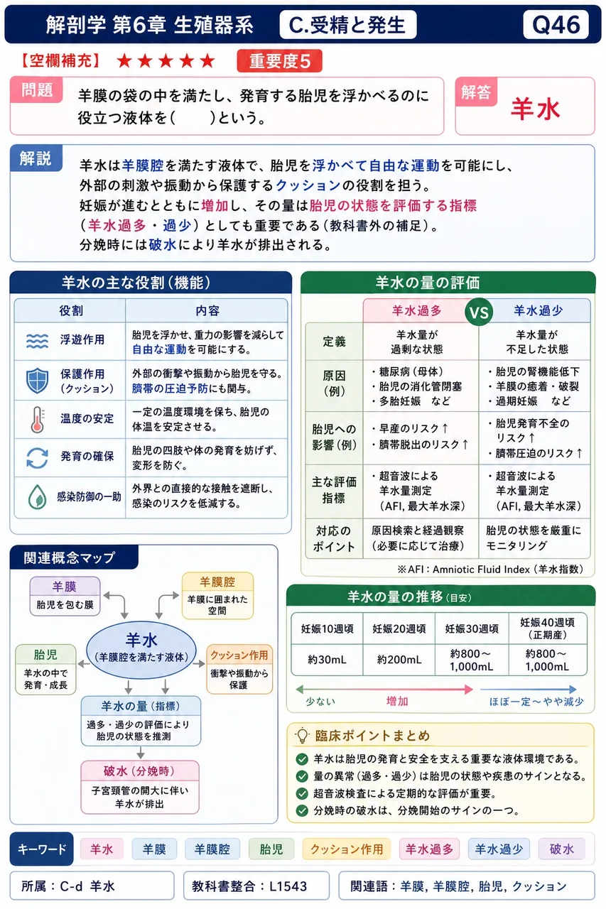 羊膜の袋の中を満たし、発育する胎児を浮かべるのに役立つ液体を( )という。 解説図