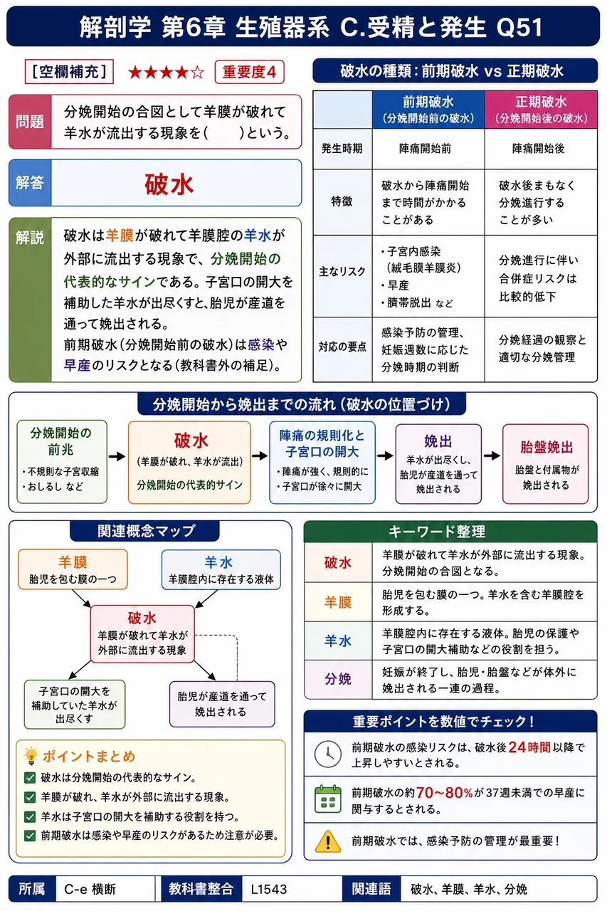 分娩開始の合図として羊膜が破れて羊水が流出する現象を( )という。 解説図