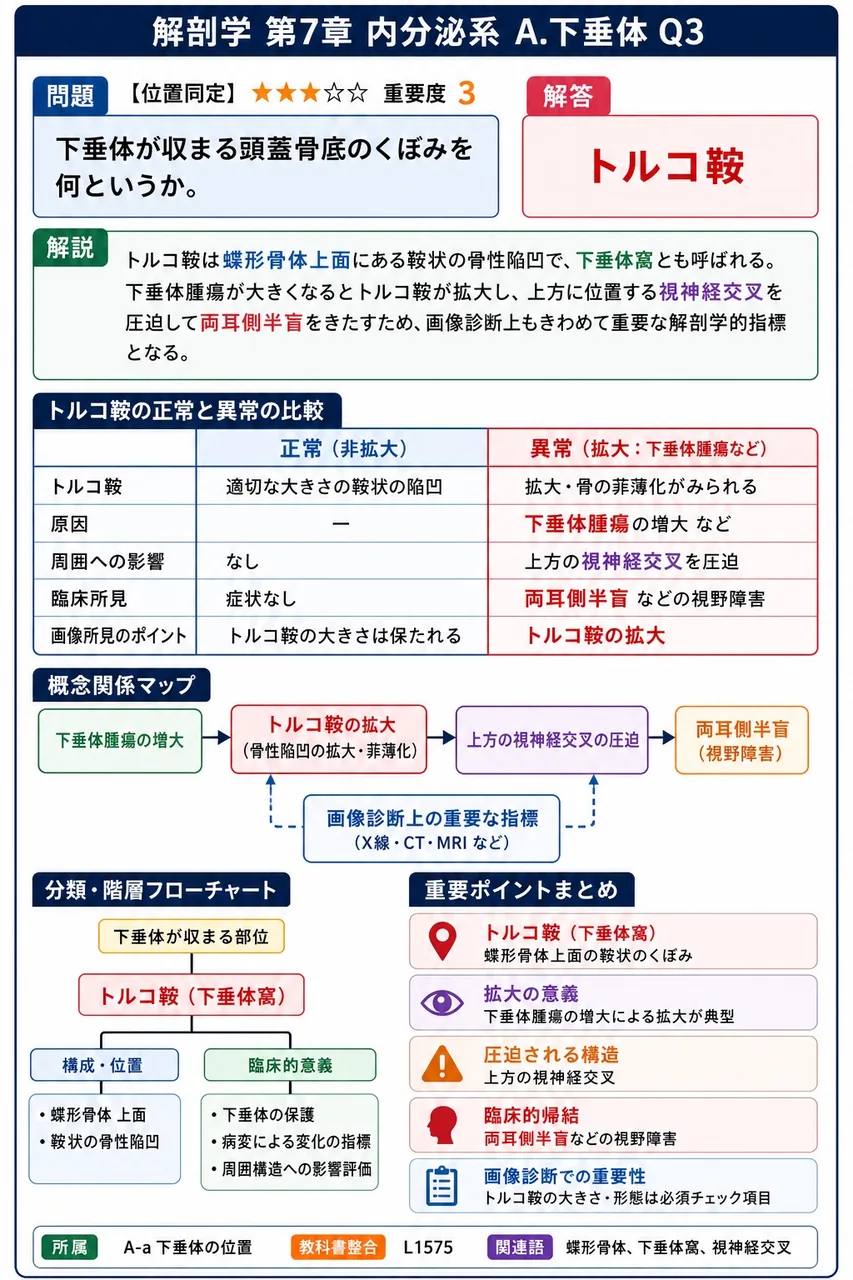 下垂体が収まる頭蓋骨底のくぼみを何というか。 解説図