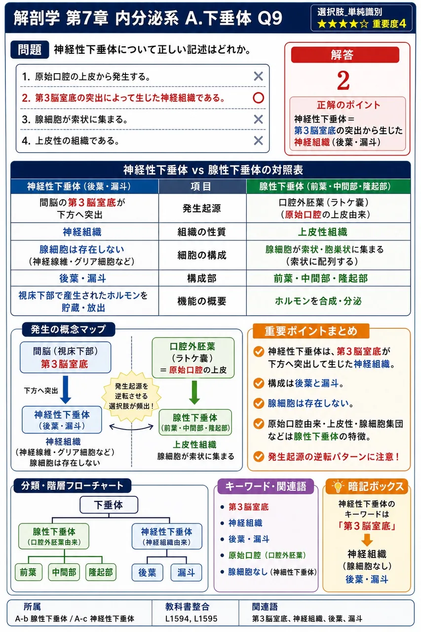 神経性下垂体について正しい記述はどれか。 解説図