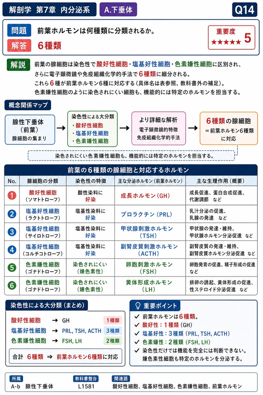 前葉ホルモンは何種類に分類されるか。 解説図