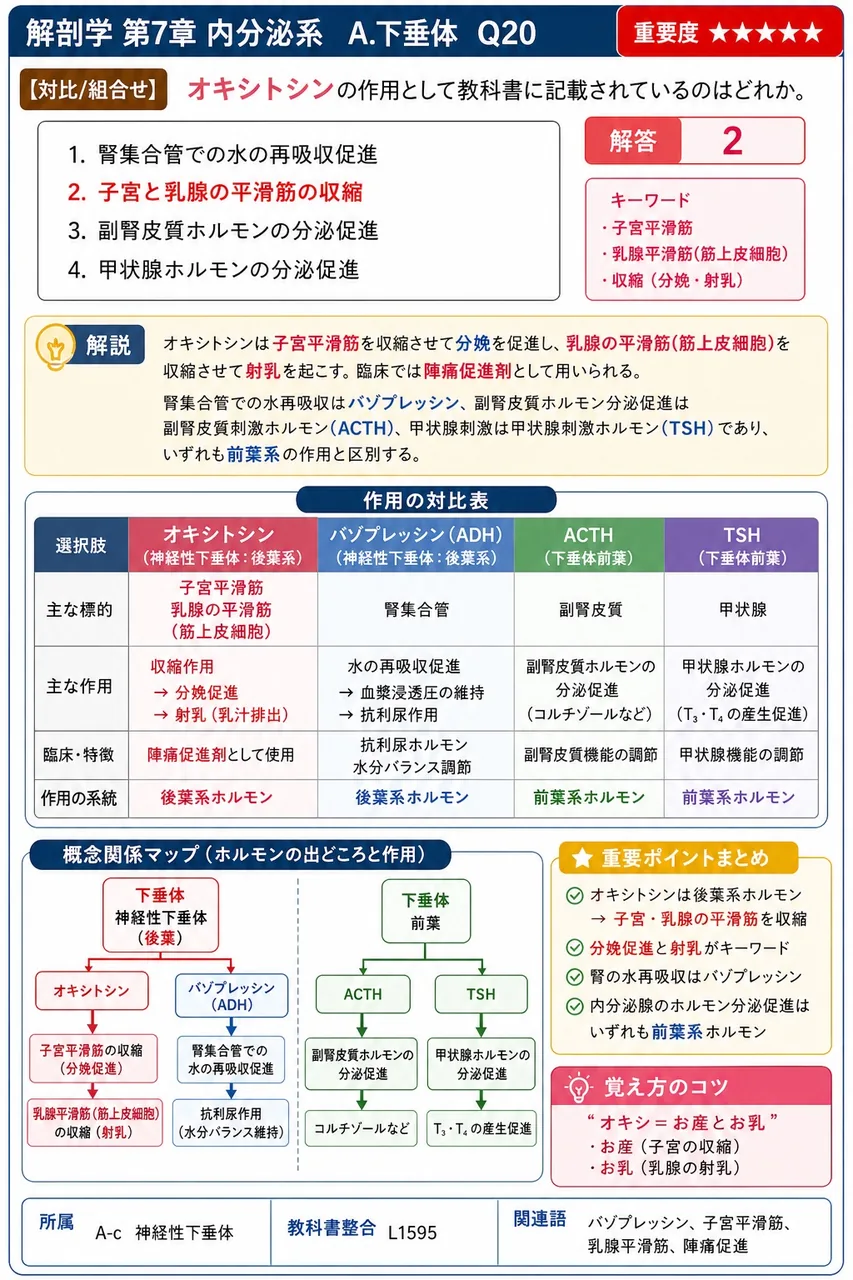 オキシトシンの作用として教科書に記載されているのはどれか。 解説図