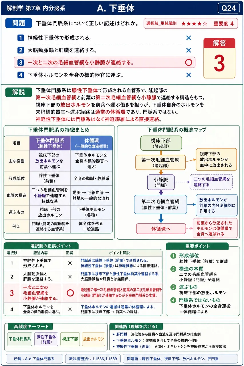 下垂体門脈系について正しい記述はどれか。 解説図
