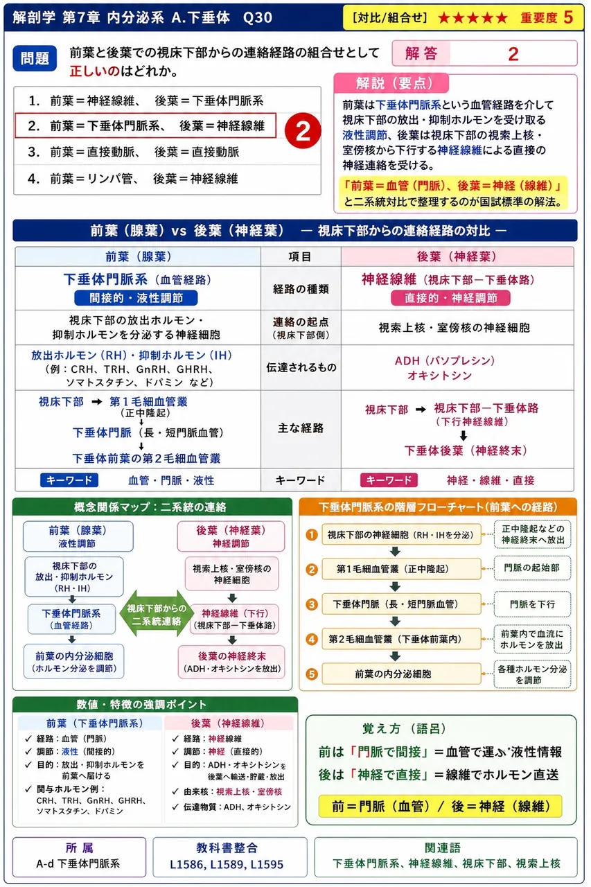 前葉と後葉での視床下部からの連絡経路の組合せとして正しいのはどれか。 解説図