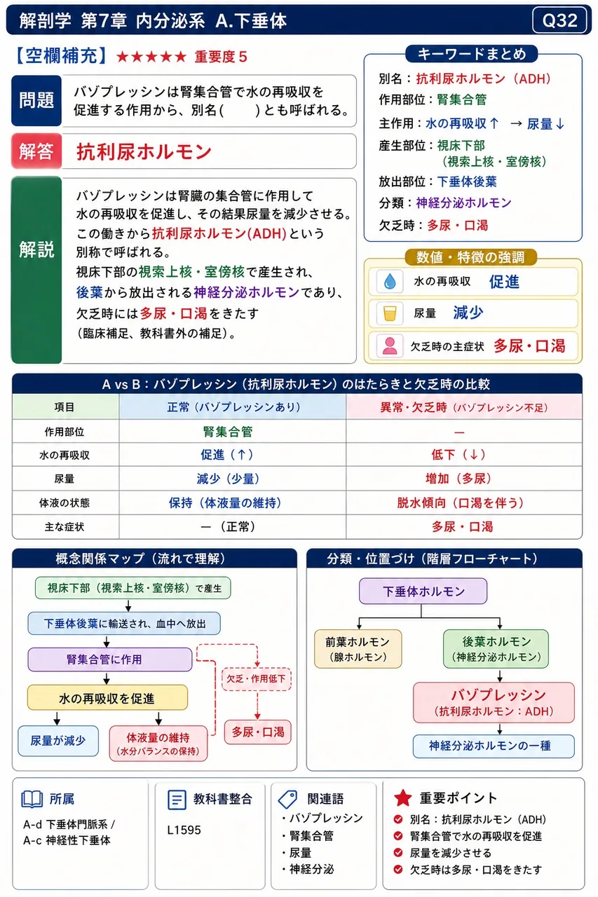 バゾプレッシンは腎集合管で水の再吸収を促進する作用から、別名( )とも呼ばれる。 解説図