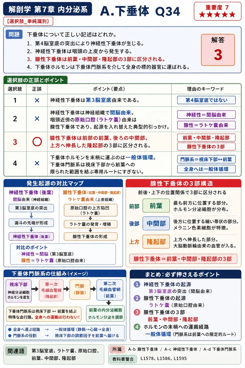 下垂体について正しい記述はどれか。 解説図
