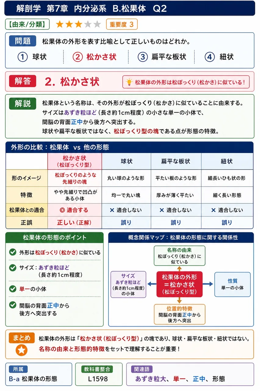松果体の外形を表す比喩として正しいものはどれか。 解説図
