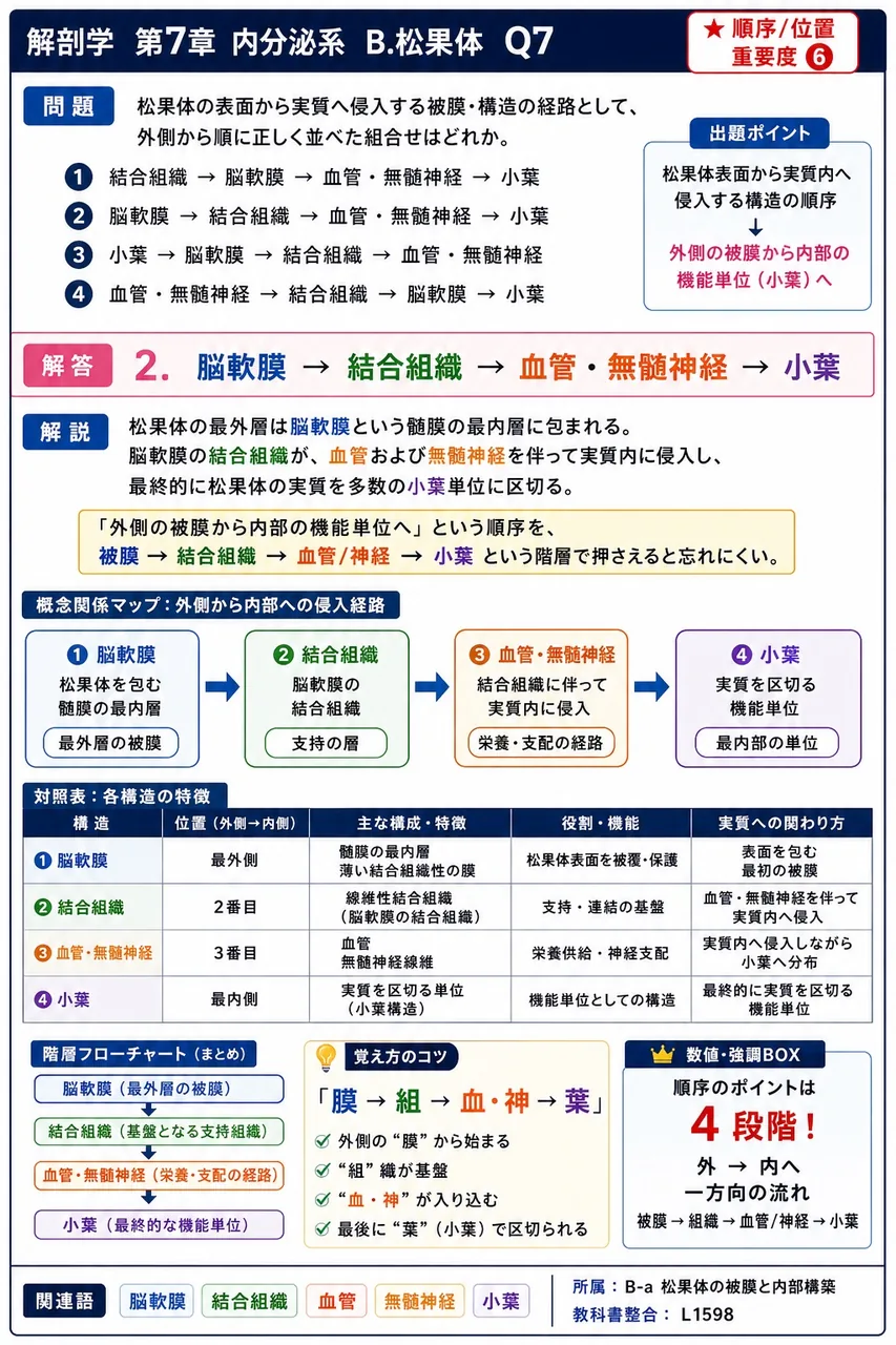 松果体の表面から実質へ侵入する被膜・構造の経路として、外側から順に正しく並べた組合せはどれか。 解説図