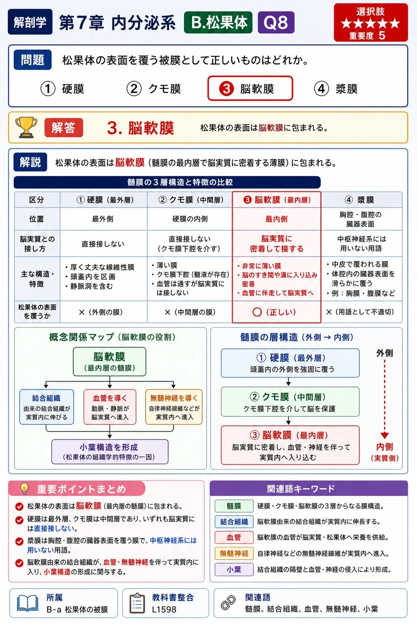 松果体の表面を覆う被膜として正しいものはどれか。 解説図