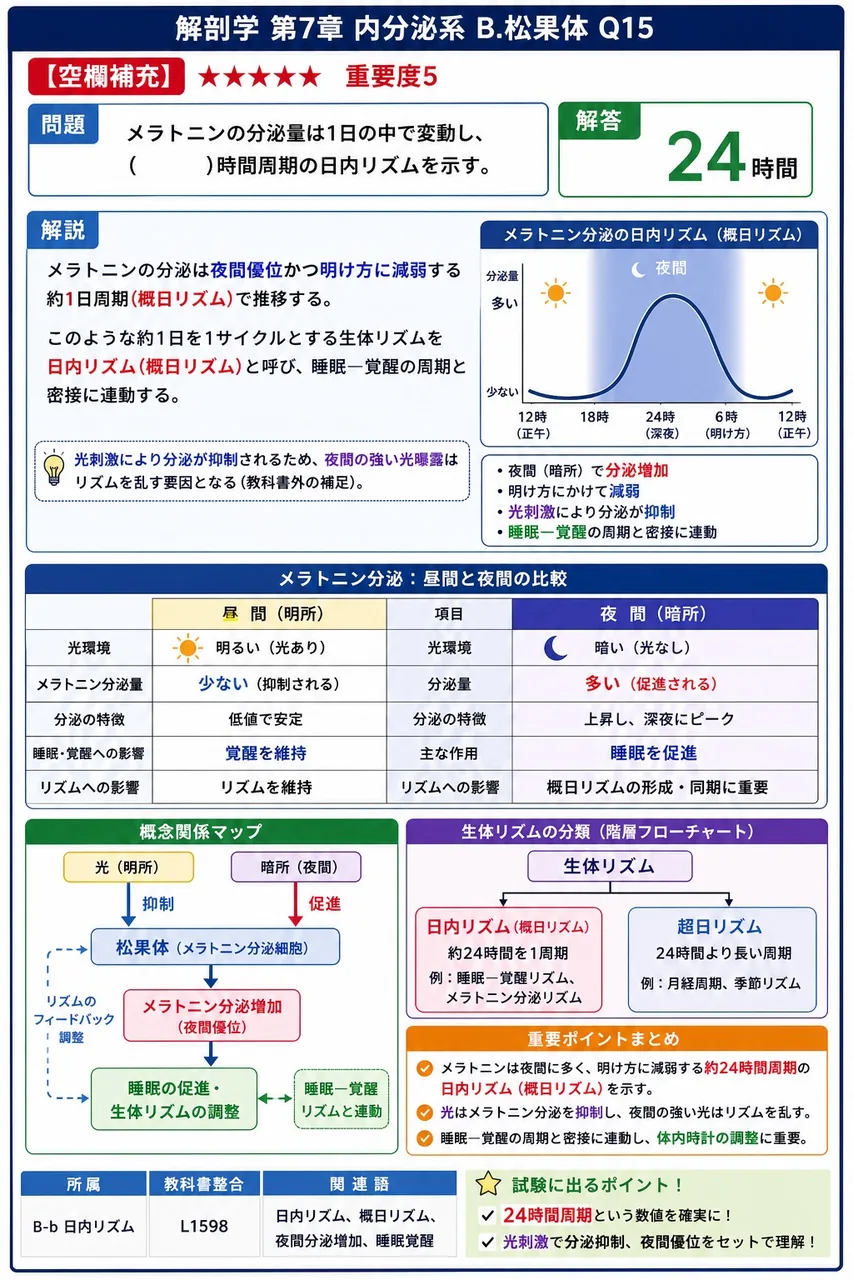 メラトニンの分泌量は1日の中で変動し、( )時間周期の日内リズムを示す。 解説図