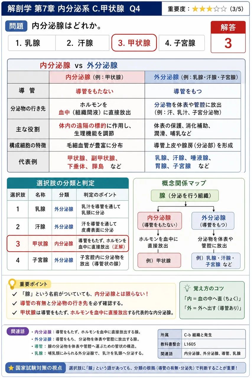 内分泌腺はどれか。 解説図