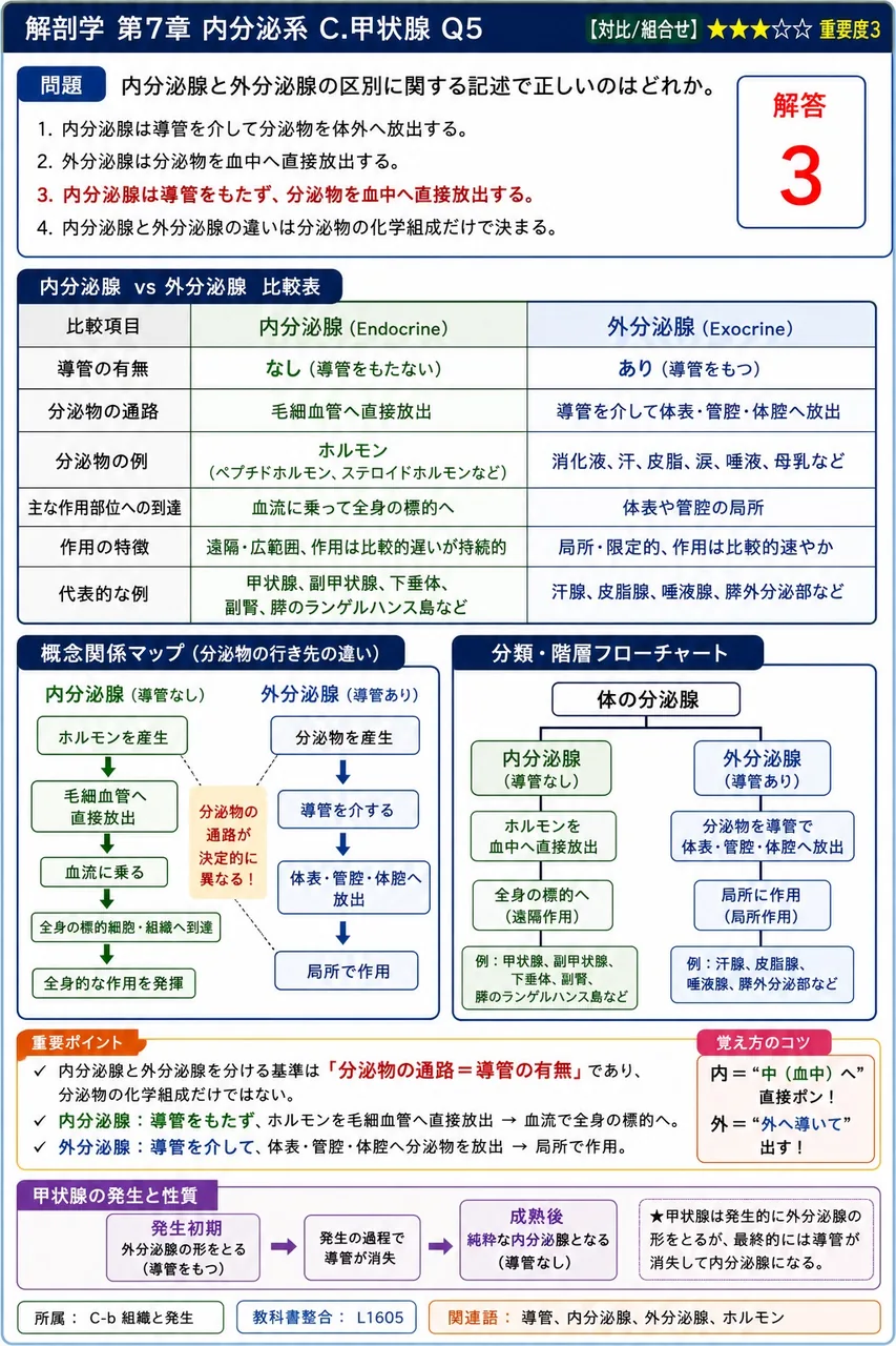 内分泌腺と外分泌腺の区別に関する記述で正しいのはどれか。 解説図