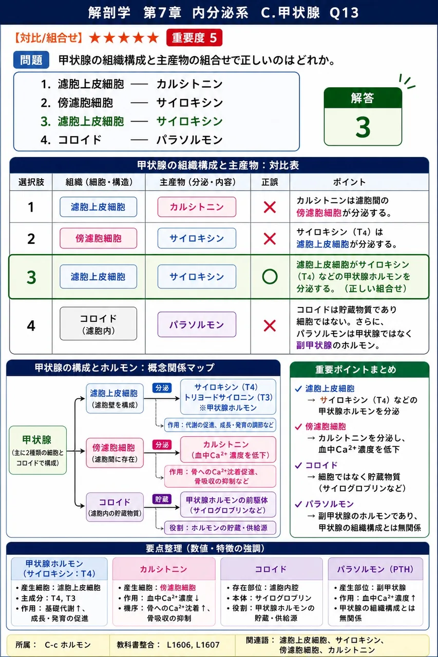 甲状腺の組織構成と主産物の組合せで正しいのはどれか。 解説図