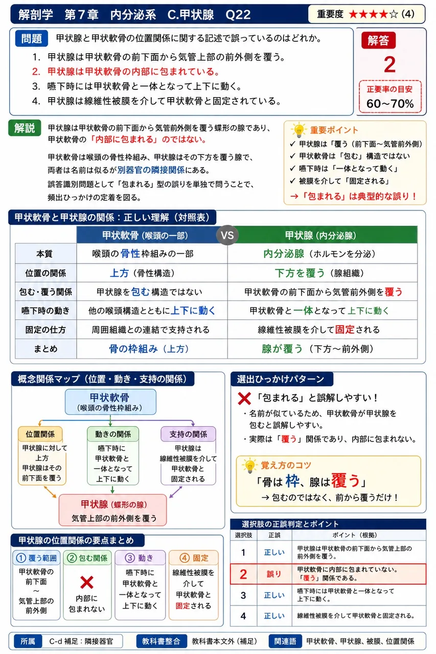 甲状腺と甲状軟骨の位置関係に関する記述で誤っているのはどれか。 解説図