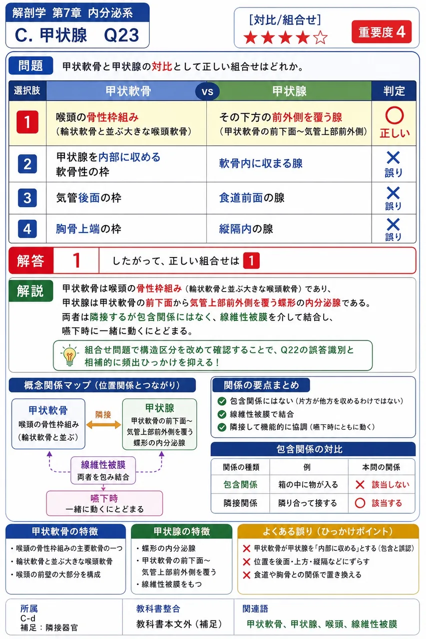 甲状軟骨と甲状腺の対比として正しい組合せはどれか。 解説図