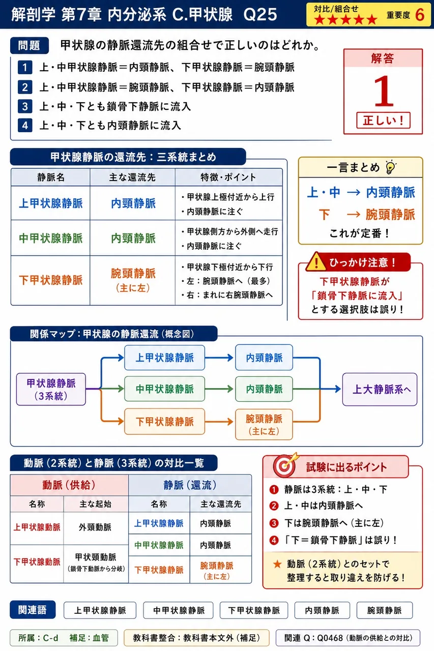 甲状腺の静脈還流先の組合せで正しいのはどれか。 解説図
