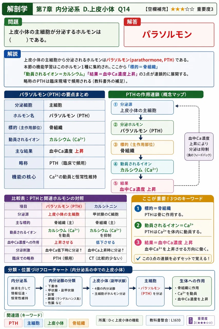 上皮小体の主細胞が分泌するホルモンは( )である。 解説図