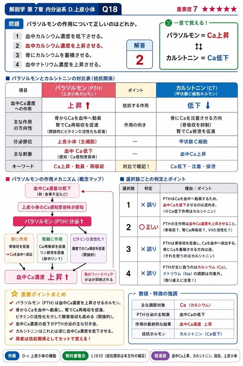 パラソルモンの作用について正しいのはどれか。 解説図