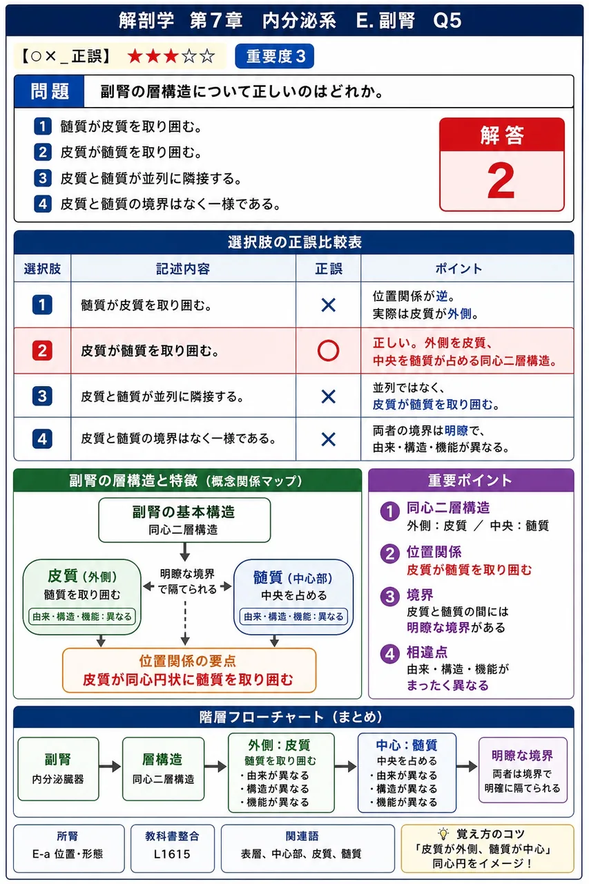 副腎の層構造について正しいのはどれか。 解説図