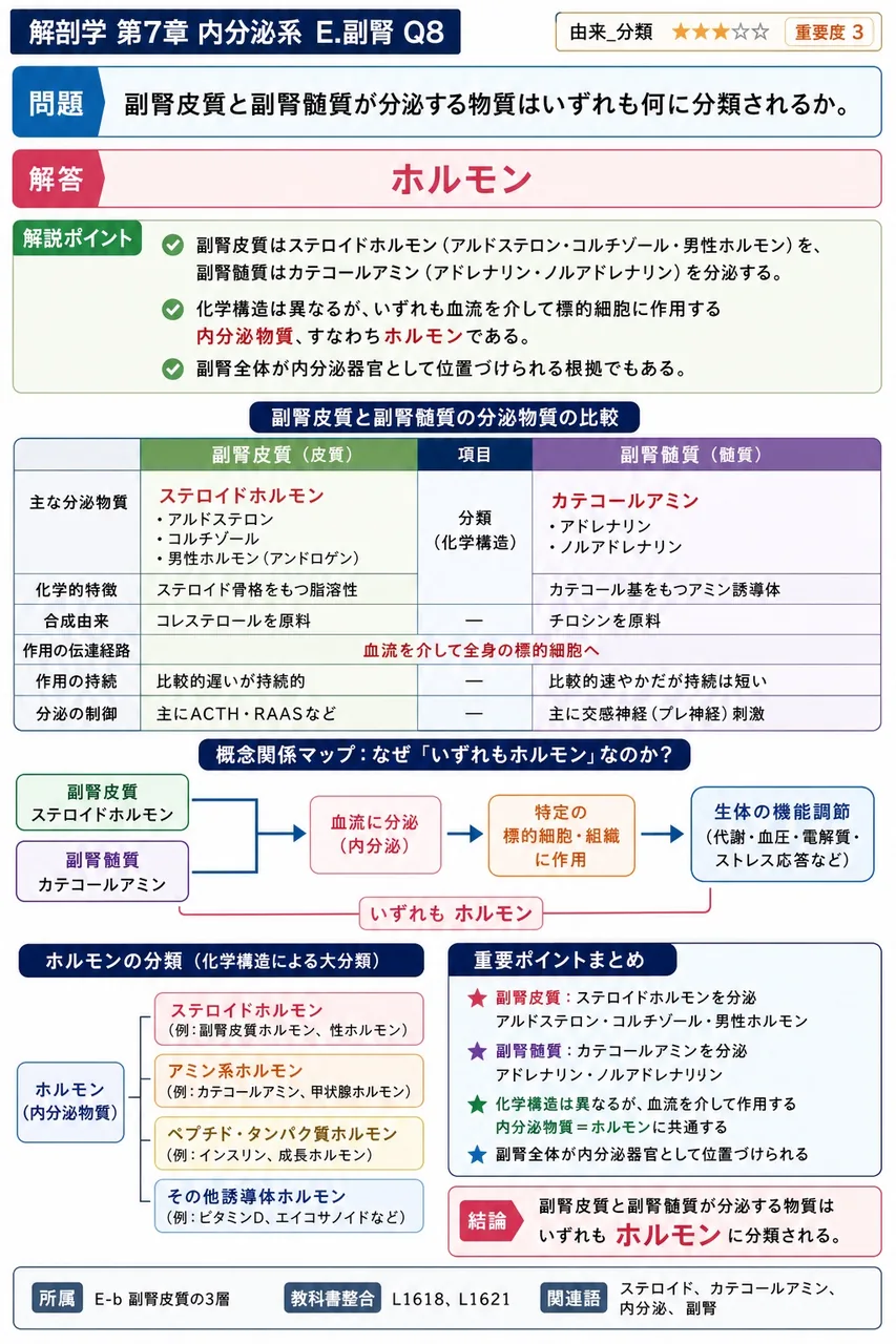副腎皮質と副腎髄質が分泌する物質はいずれも何に分類されるか。 解説図