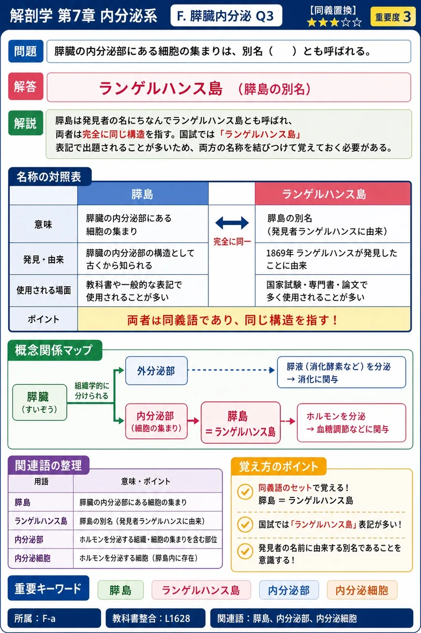 膵臓の内分泌部にある細胞の集まりは、別名( )とも呼ばれる。 解説図