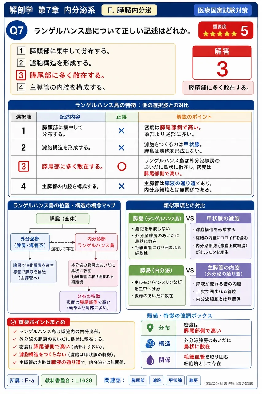 ランゲルハンス島について正しい記述はどれか。 解説図