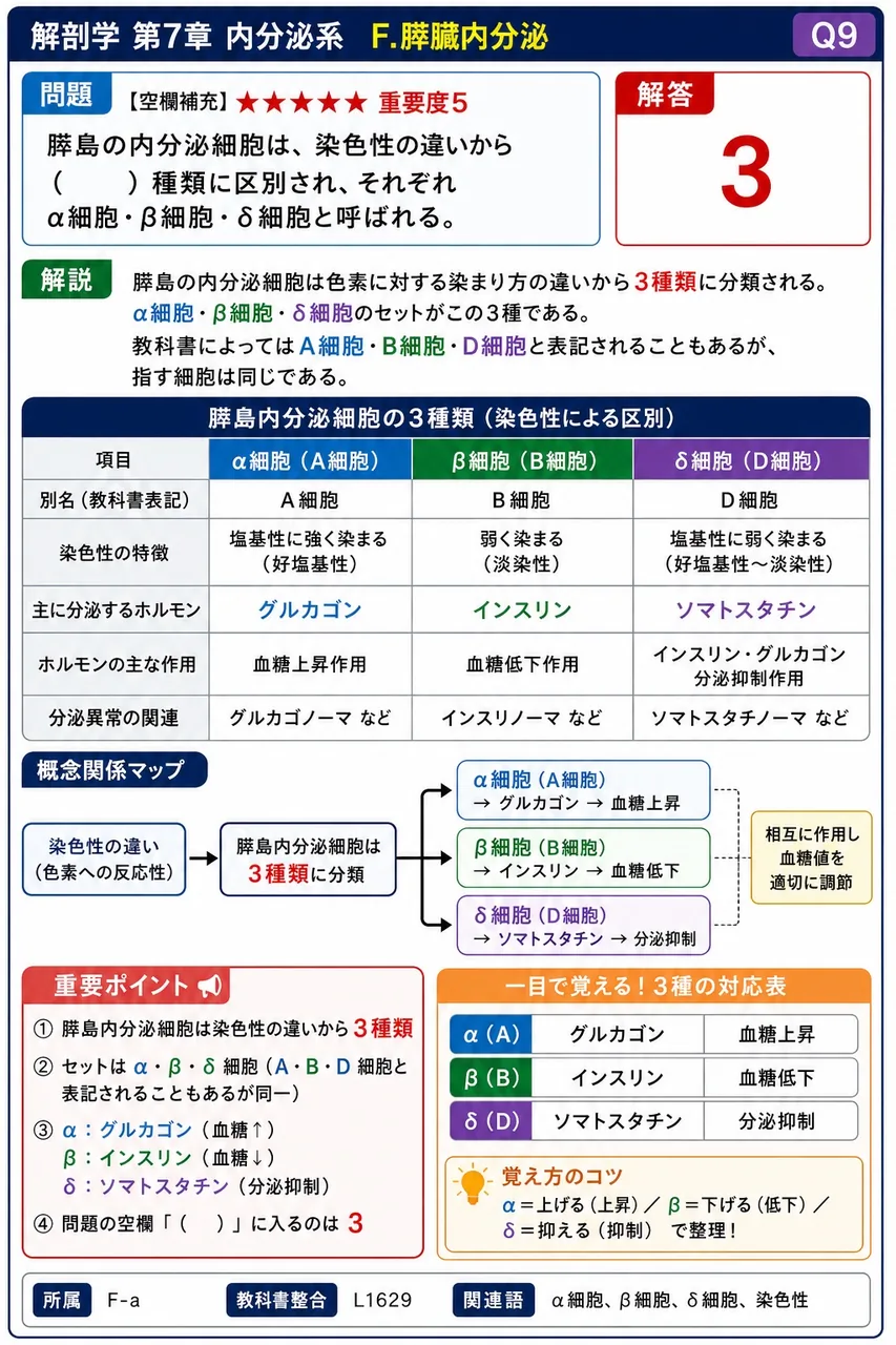 膵島の内分泌細胞は、染色性の違いから( )種類に区別され、それぞれα細胞・β細胞・δ細胞と呼ばれる。 解説図