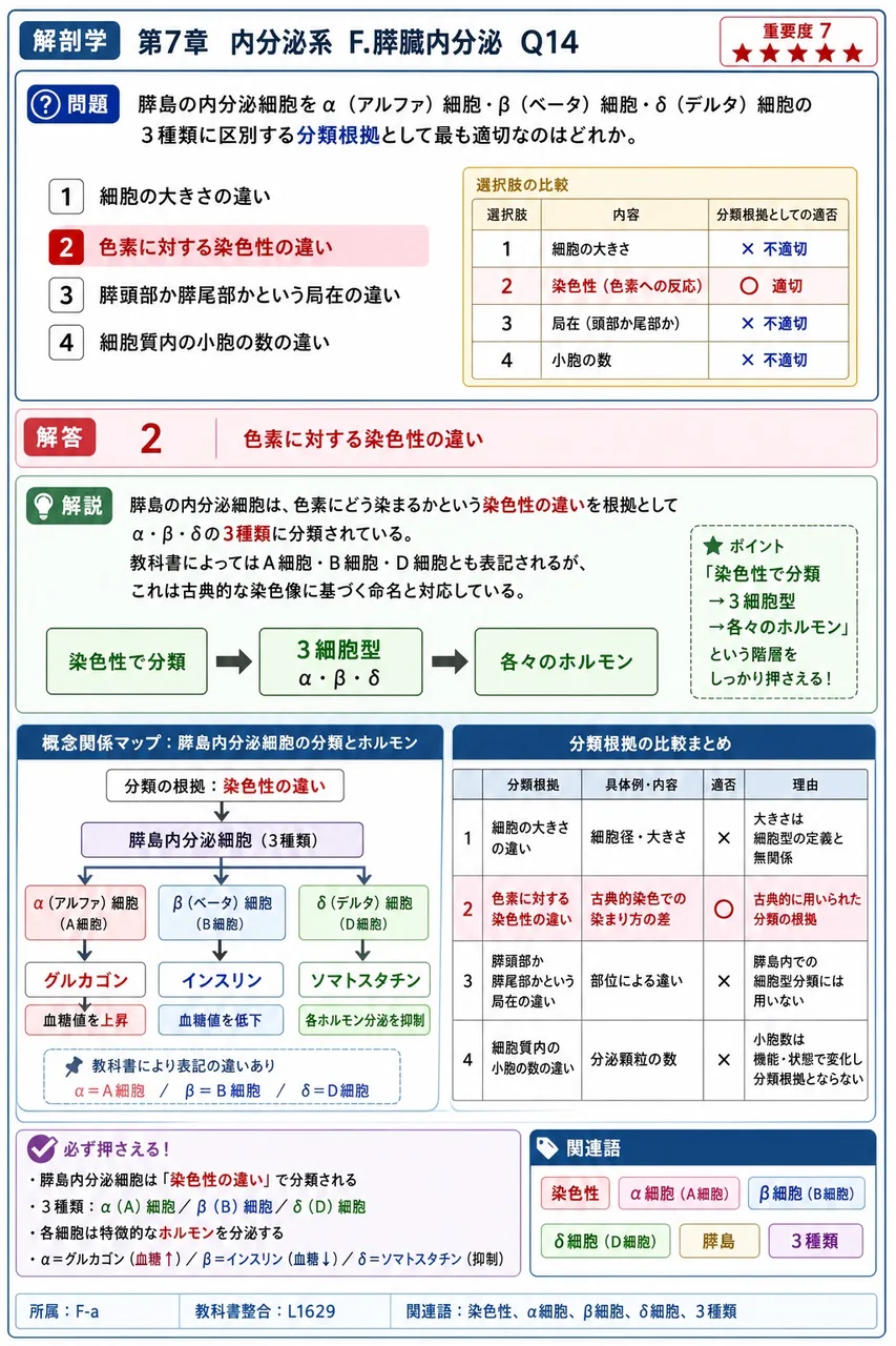 膵島の内分泌細胞をα(アルファ)細胞・β(ベータ)細胞・δ(デルタ)細胞の3種類に区別する分類根拠として最も適切なのはどれか。 解説図