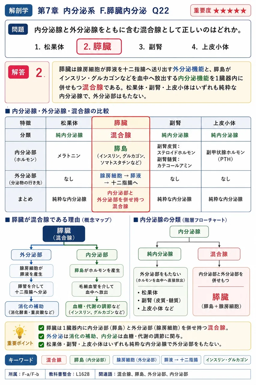 内分泌腺と外分泌腺をともに含む混合腺として正しいのはどれか。 解説図