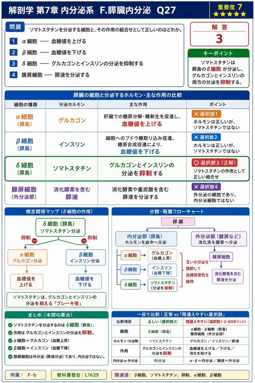 ソマトスタチンを分泌する細胞と、その作用の組合せとして正しいのはどれか。 解説図