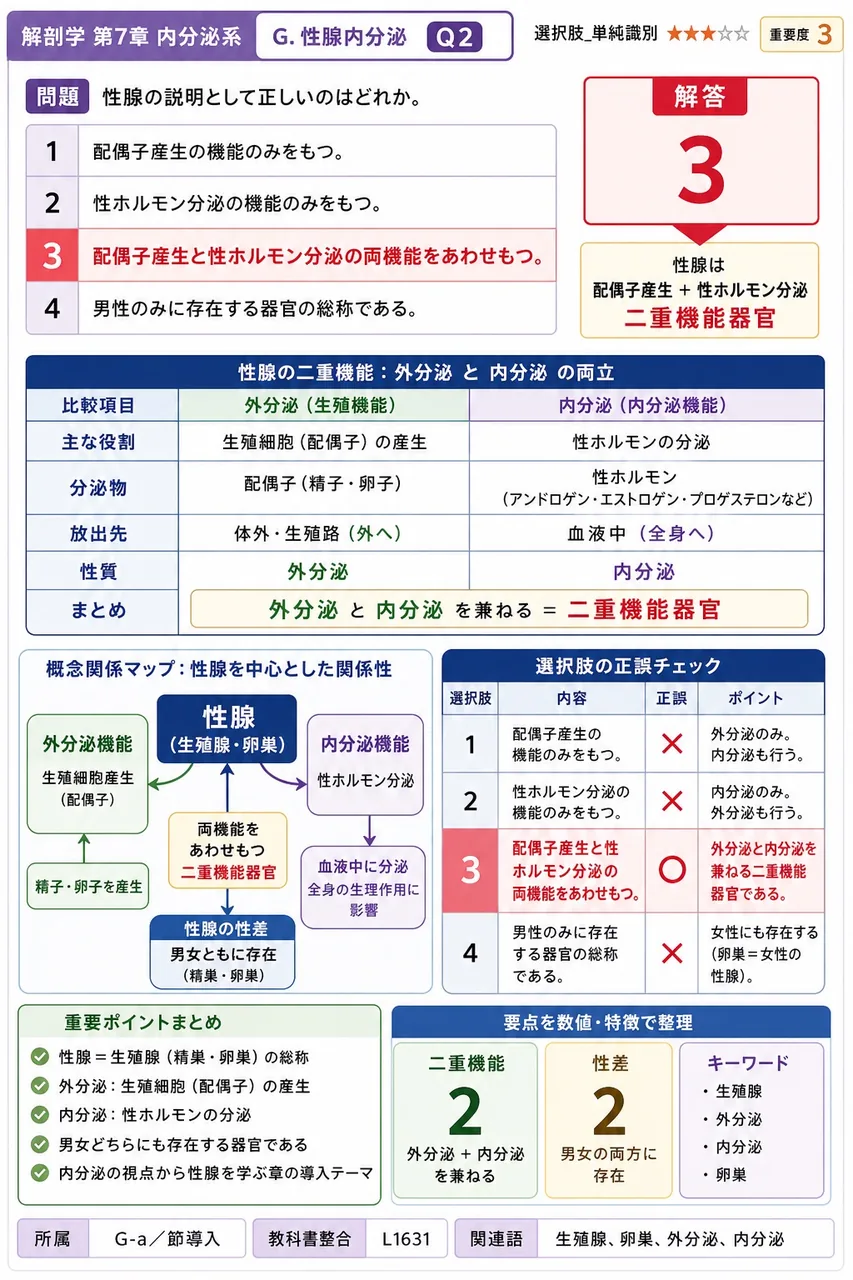 性腺の説明として正しいのはどれか。 解説図