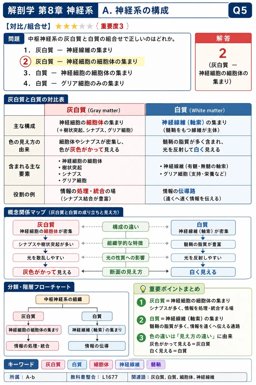 中枢神経系の灰白質と白質の組合せで正しいのはどれか。 解説図