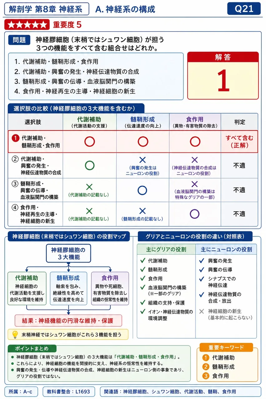 神経膠細胞(末梢ではシュワン細胞)が担う3つの機能をすべて含む組合せはどれか。 解説図